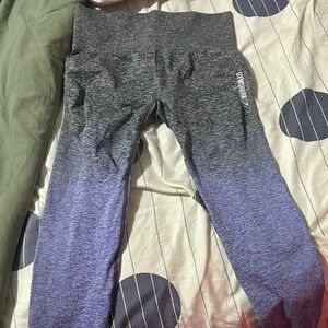 Gym shark leggings